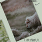 VORBESTELLUNG - A2 Wandkalender Psalm 23 - 2026