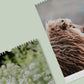 VORBESTELLUNG - A2 Wandkalender Psalm 23 - 2026