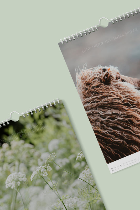 VORBESTELLUNG - A2 Wandkalender Psalm 23 - 2026