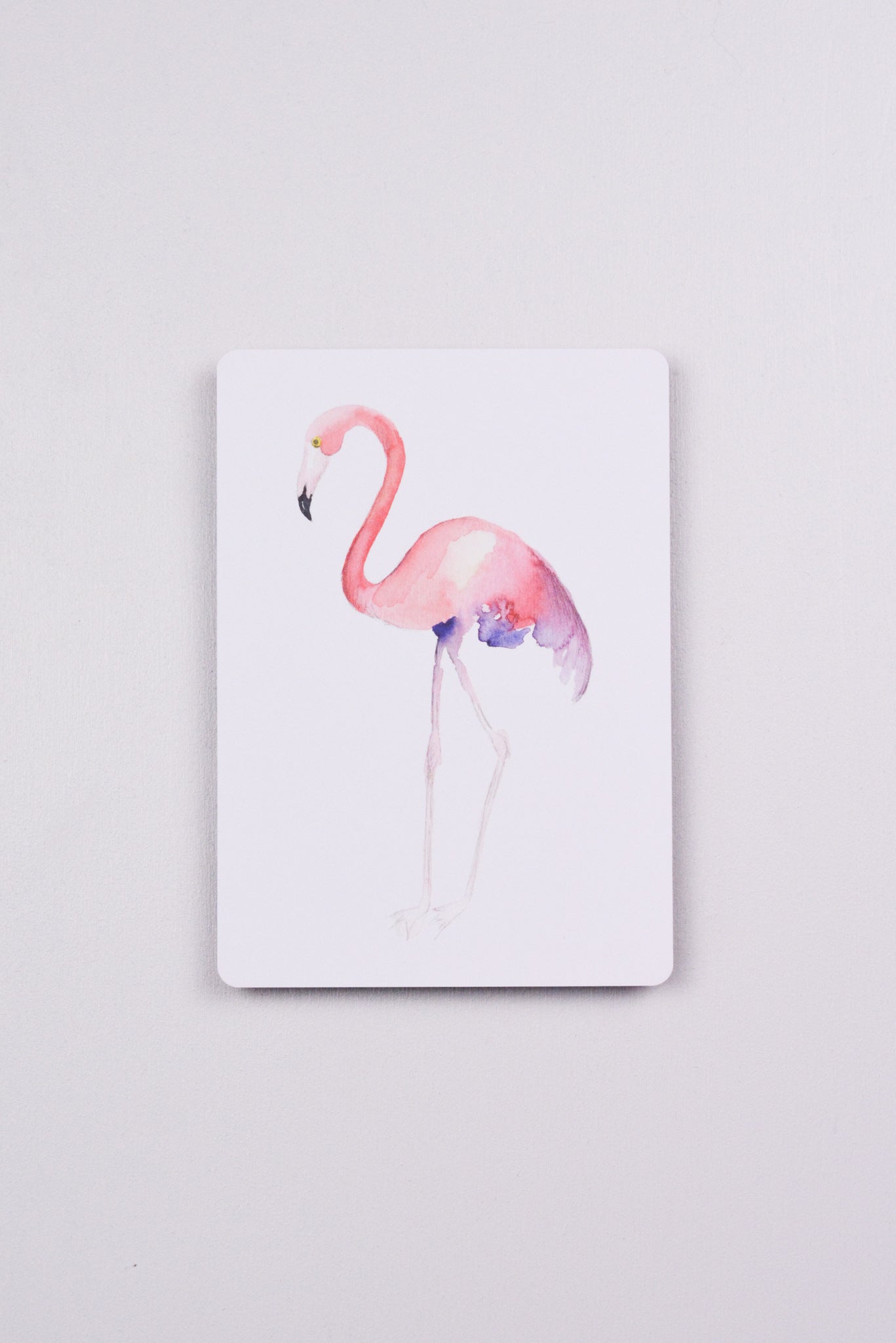 Postkarte - Flamingo
