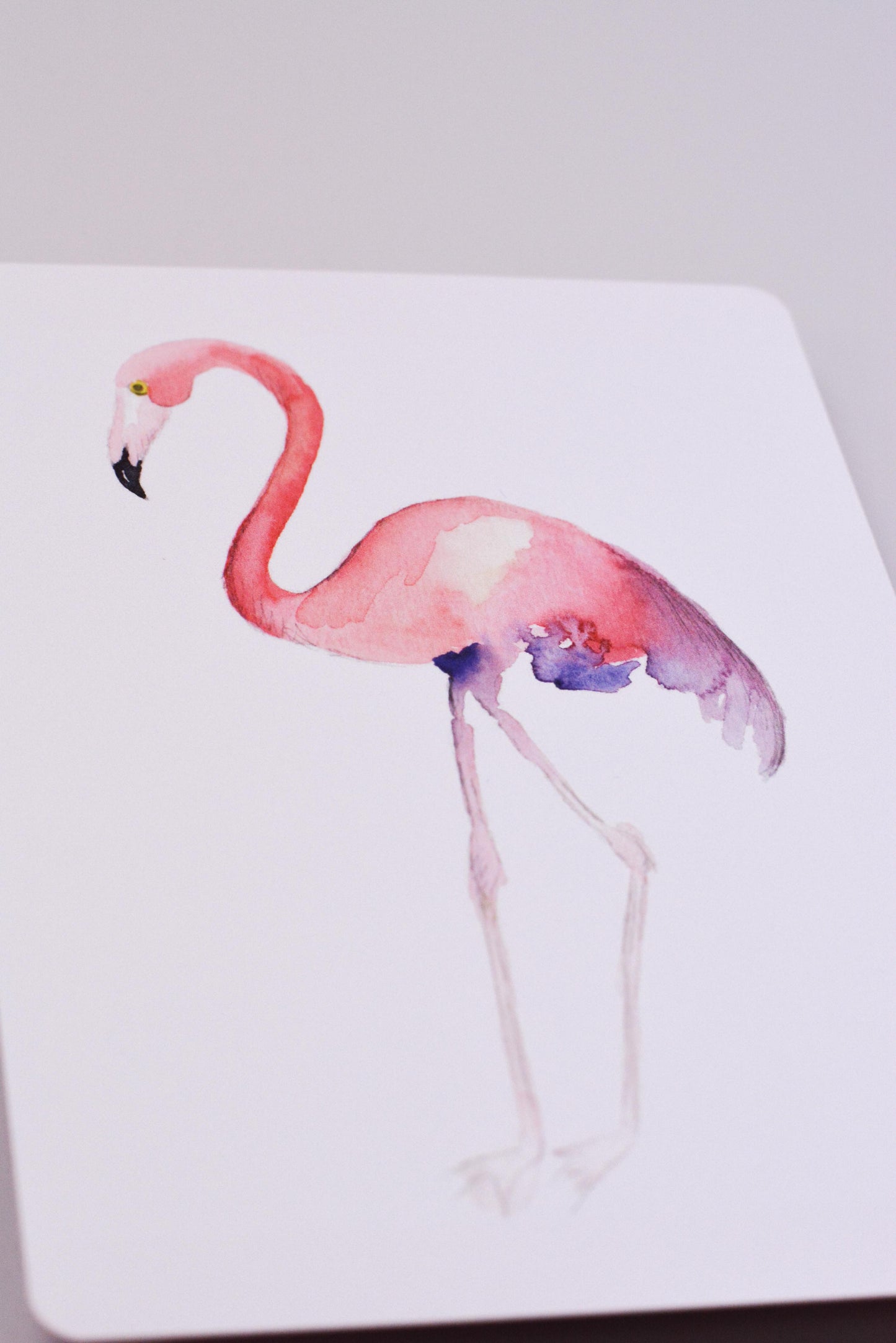 Postkarte - Flamingo